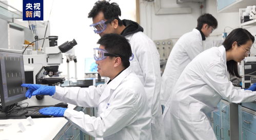 我國科研人員實(shí)現(xiàn)二維金屬碲化物材料宏量制備，助力材料科學(xué)規(guī)?；瘧?yīng)用